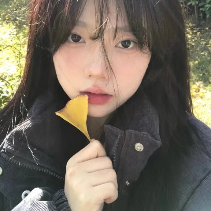 银翼情人